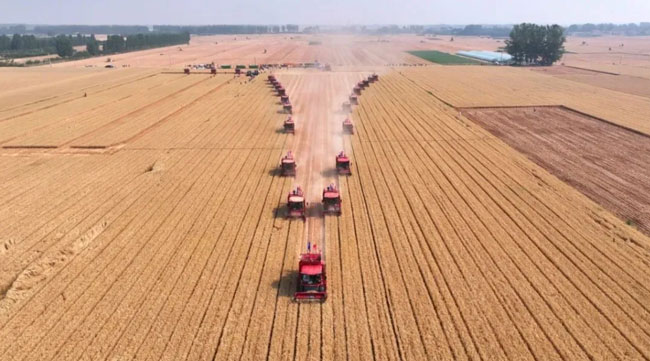 必发·bifa(中国)唯一官方网站