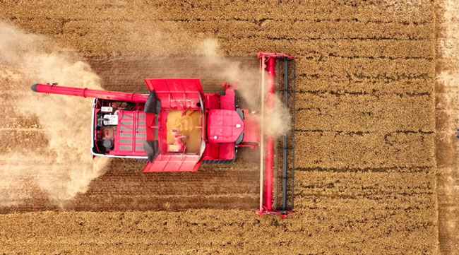 必发·bifa(中国)唯一官方网站